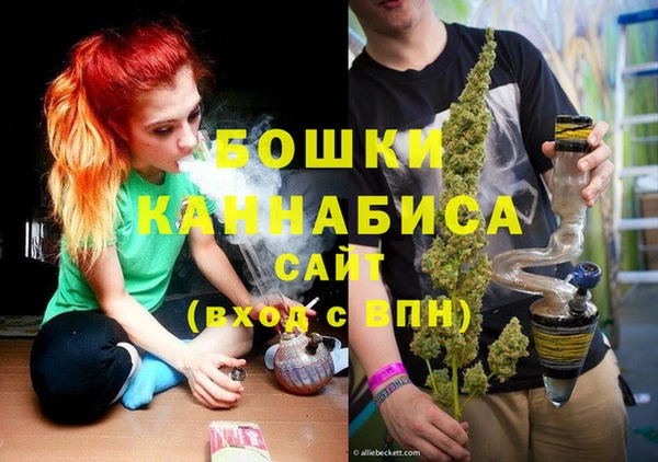 ГАЛЛЮЦИНОГЕННЫЕ ГРИБЫ Беломорск