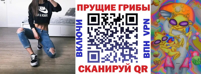 Галлюциногенные грибы MAGIC MUSHROOMS нарко площадка состав Боготол